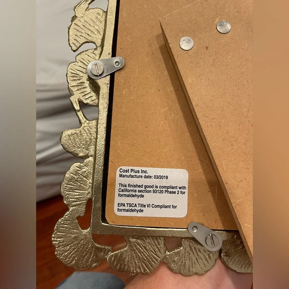 gold ginkgo picture frame